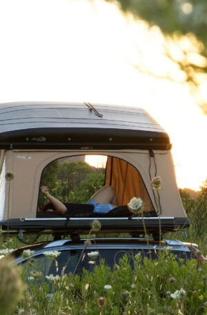 Hussarde FAMILY ユサードファミリー